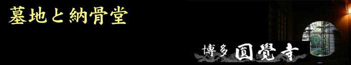 ��n�Ɣ[����